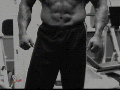 muscle